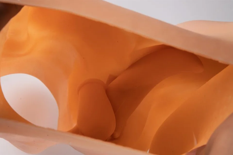 #7342 - Realistik Giyilebilir Bayan Vajina Kalça